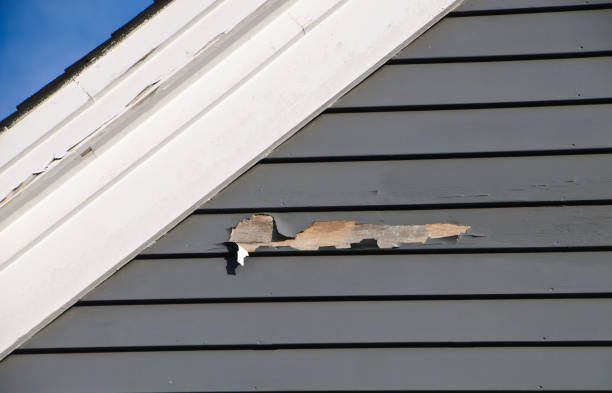 Best Siding Maintenance  in Macopin, NJ